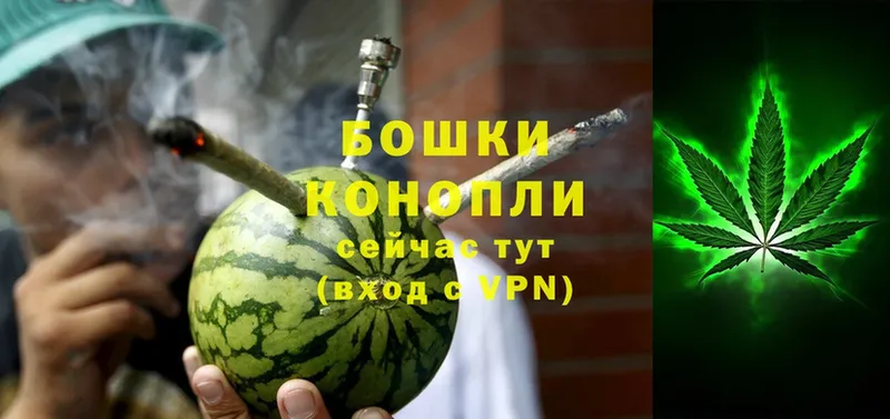 Бошки Шишки Bruce Banner  Кисловодск 